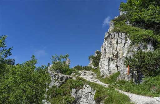 91看片在线视频