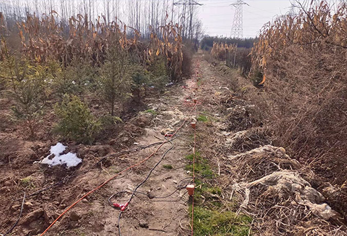 臨夏91看片淫黄大片全解析：如何選擇專業的勘察服務？